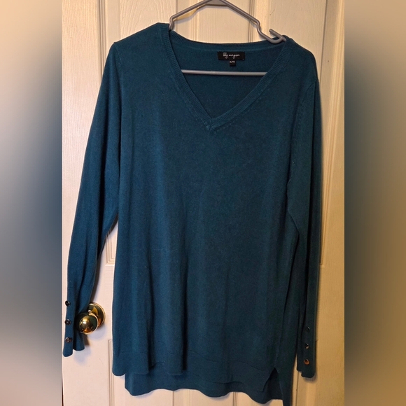 Lily Morgan Sweaters - Blue V-Neck Sweater